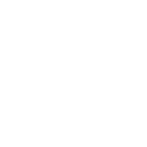 Toyota Rav 4 2000-2005 Exhaust Rear Box Assy