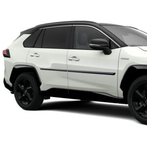 Toyota Rav 4 (2018-Present) Side Moulding - 8X8 - Dark Blue Metallic PT9384219008