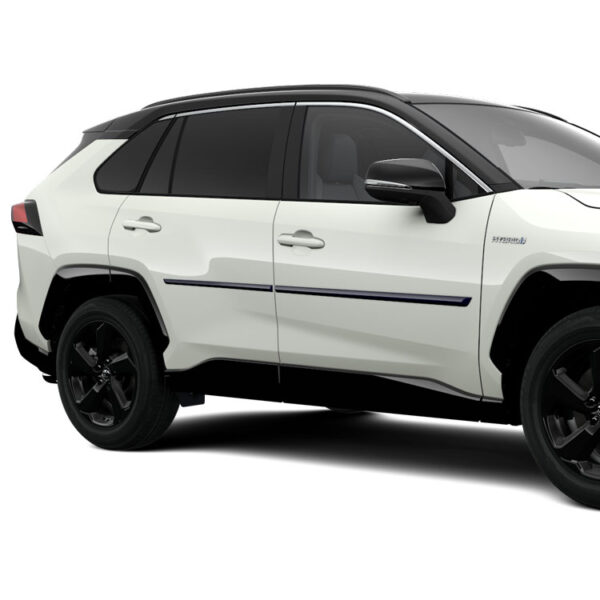 Toyota Rav 4 (2018-Present) Side Moulding - 8X8 - Dark Blue Metallic PT9384219008