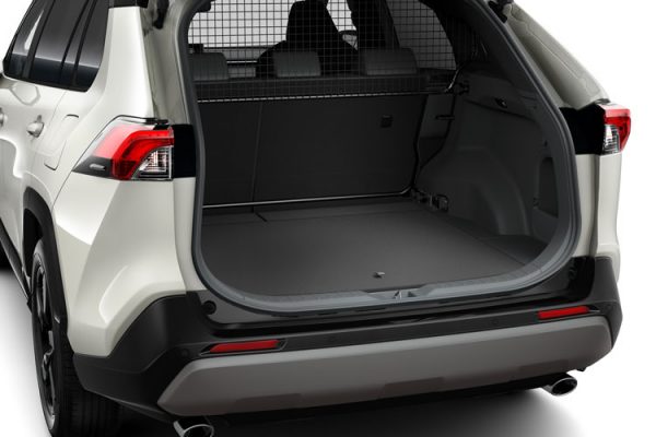 Toyota Rav 4 (2018-Present) Dog Guard PW25542000