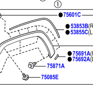 Toyota Rav4 2018- Moulding Sub-Assy, Front Fender, RH
