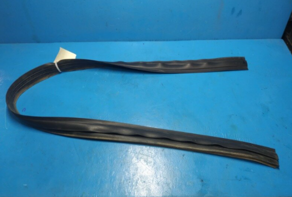 Toyota RAV4 (2012-2019) Rocker Outer Weatherstrip (RH)